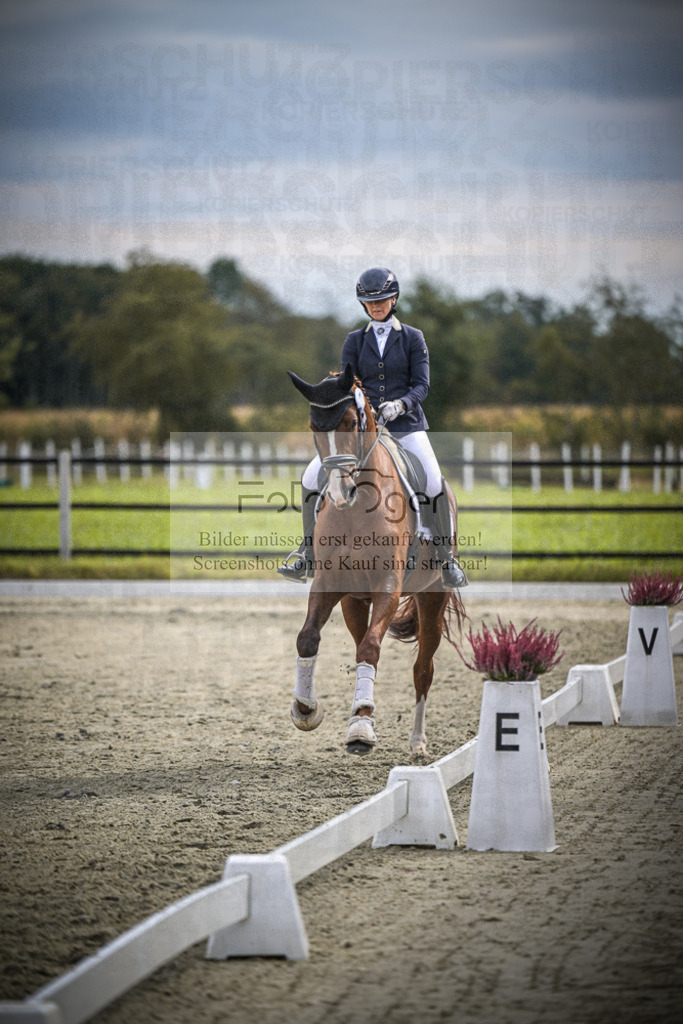 DOS_0100 | Entdecke hochwertige Reitturnierfotos von Foto Oger. Professionell, emotional und authentisch – jetzt Lieblingsmomente im Shop bestellen.Deutschlandweite Turnierfotografie. - Realisiert mit Pictrs.com