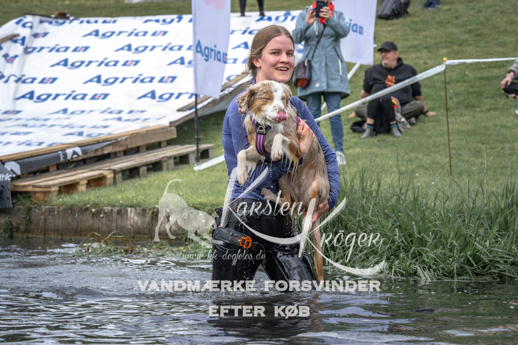 1138_ZZ93284 | kk-dogfotos