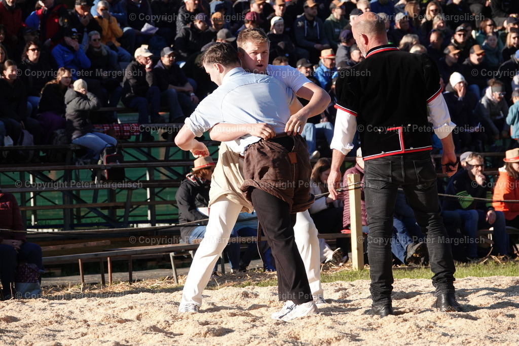 DSC02386 | Schwingen - Realisiert mit Pictrs.com