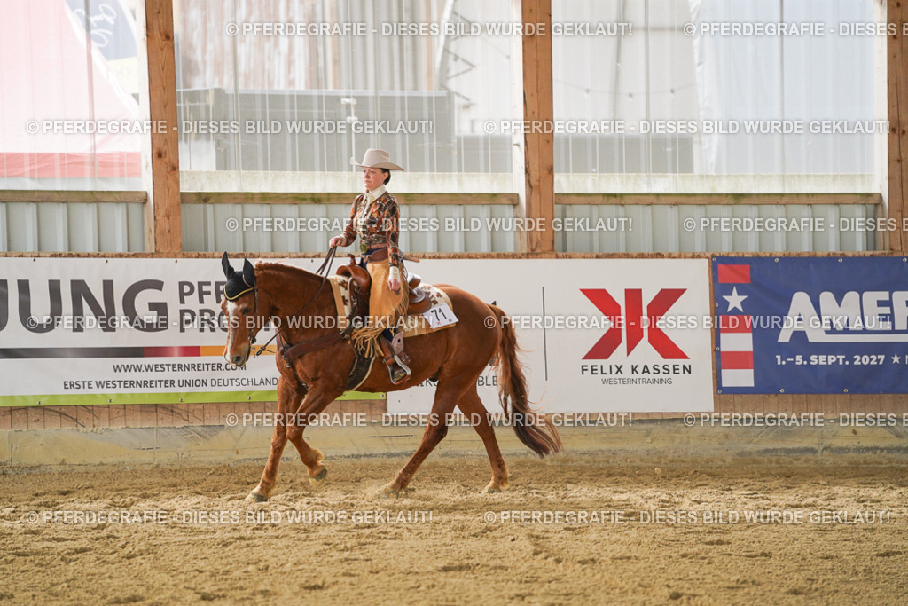 DSC04862 | Pferdegrafie