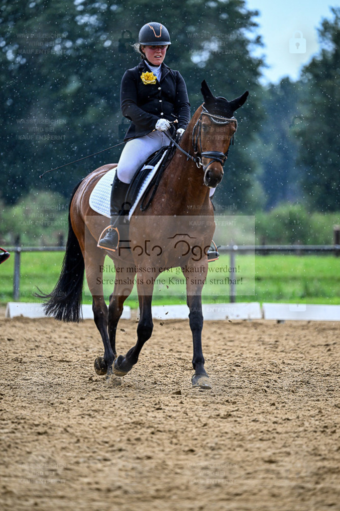 Reitturnier Hasbergen | Entdecke hochwertige Reitturnierfotos von Foto Oger. Professionell, emotional und authentisch – jetzt Lieblingsmomente im Shop bestellen. - Realisiert mit Pictrs.com