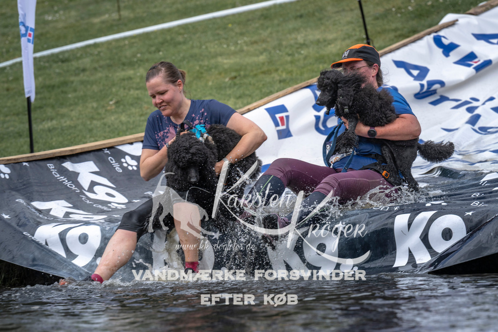 1145_ZZ93768 | kk-dogfotos