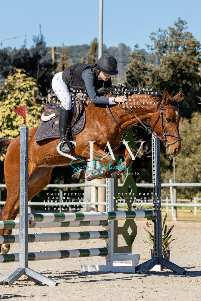 IMG_9510 | s-jay-photography - Realisiert mit Pictrs.com