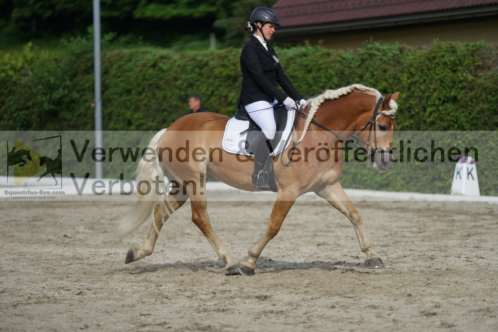 DSC05661 | equestrian-live-com