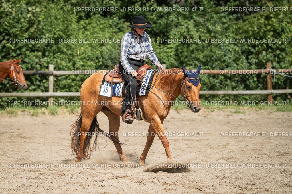 DSC03490 | Pferdegrafie