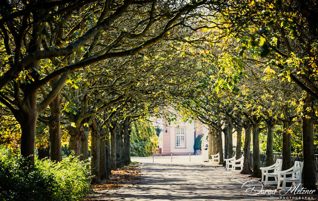 Der Schlosspark in Wiesbaden Biebrich | Der Schlosspark in Wiesbaden Biebrich