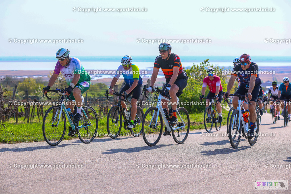 TRA_1064 | Neusiedlersee Radmarathon 2026@sportshot_your_pictrs #yourpictures#roadtowm2029 #nrm #neusiedlerseeradmarathon #neusiedlersee #neusiedlerseetourismus #burgenland #mörbisch #nrm26 #burgenlandtourismus #voglundco #poweredbyburgenlandtourismus #radsport #rad #marathon #ucigranfondo #visitburgenland #ucigranfondoworldseries