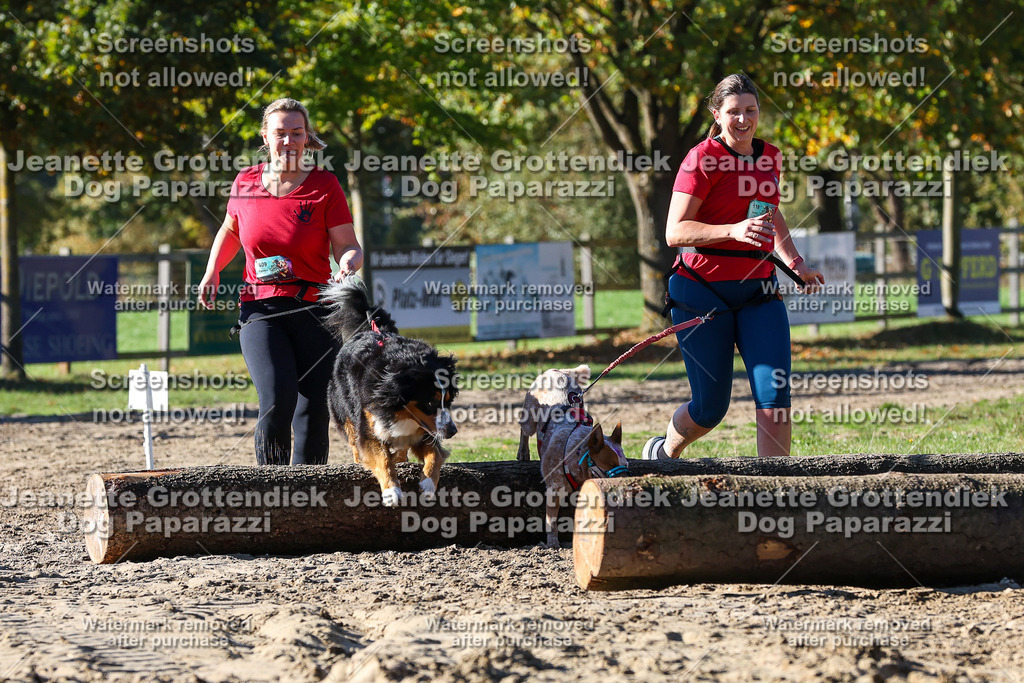 Dog Paparazzi - Strongdog 10-25-2203 | Dog Paparazzi Jeanette Grottendiek Fotografie & Videografie - Realisiert mit Pictrs.com