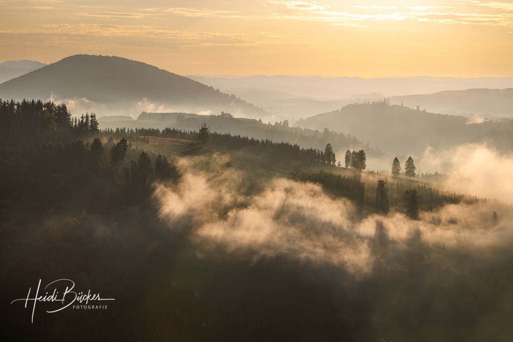 Dunst nach einem Regenschauer | Dunst nach einem Regenschauer - Realisiert mit Pictrs.com