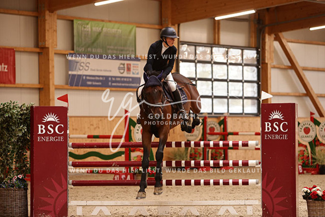 1J2A6234Celina Makowei_ AFP Come McFly_ Kn006_ Glantz_ Hohen Wieschendorf | Foto- und Videografie für alles rund ums Pferd. Hochwertige Bilder und Videos vom Spring- und Dressurreiten, Voltigieren & mehr. Jetzt aktuelle Veranstaltungen und Preise im Shop ansehen. - Realisiert mit Pictrs.com