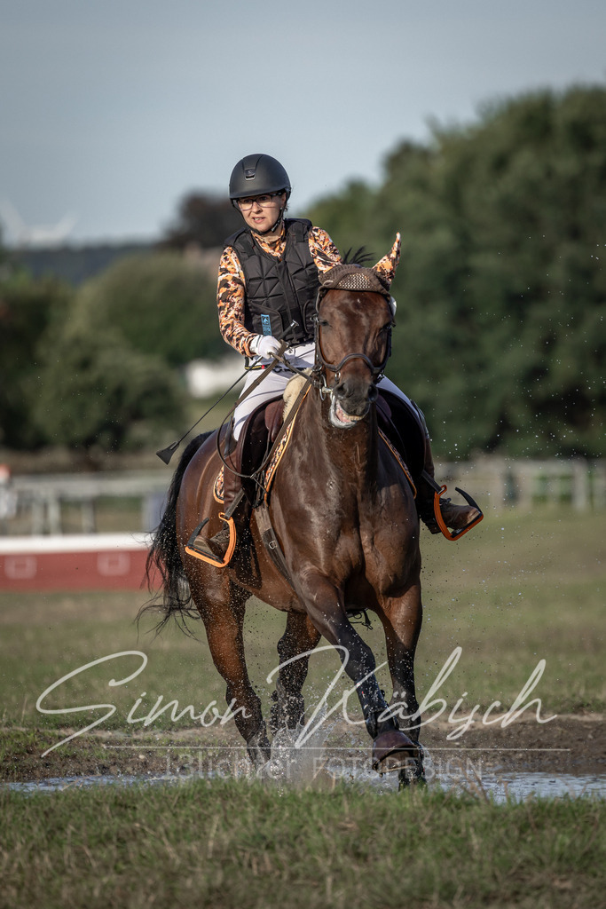 20250907-_3LI8412 | Tierfotografie Pferde, Hunde, Katzen, Haustiere.
Turnierfotografie Reitturniere, Reiten, Springreiten, Dressur in Hanau, dem Main-Kinzig-Kreis und dem Rhein-Main- Gebiet um Frankfurt