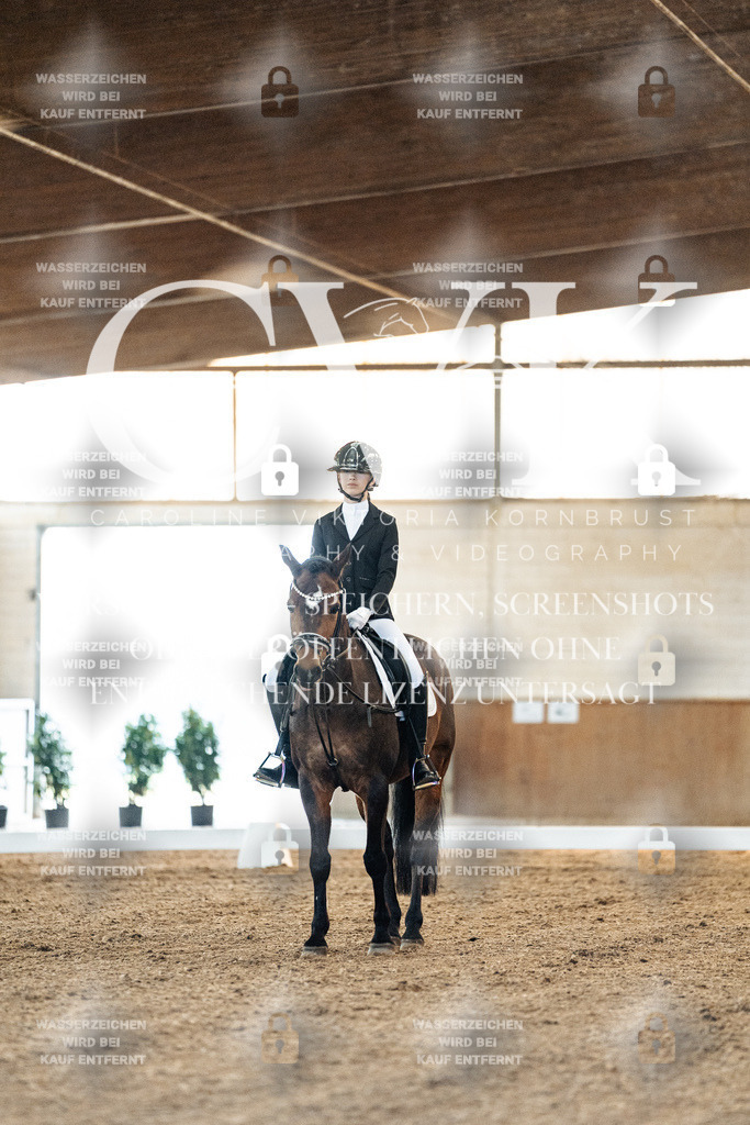 CK906552 | Turnierfotografie Pferdefotografie Trier Rheinland-Pfalz Pferdesport Reitsport Tierfotografie Sportfotografie Pferdevideo Pferdevideografie Equestrianvideography equestrianphotography  - Realisiert mit Pictrs.com