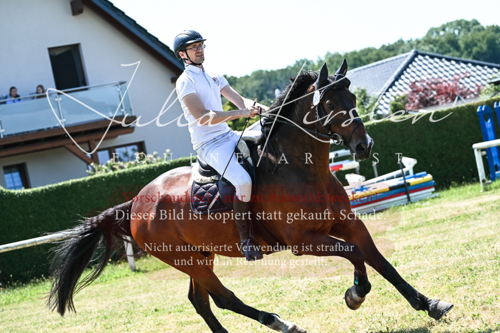 DSC_0464 | Pferde- und Turnierfotografie in Westsachsen. Pferdeportraits, Auftragszeichnungen und intuitive Kunst.