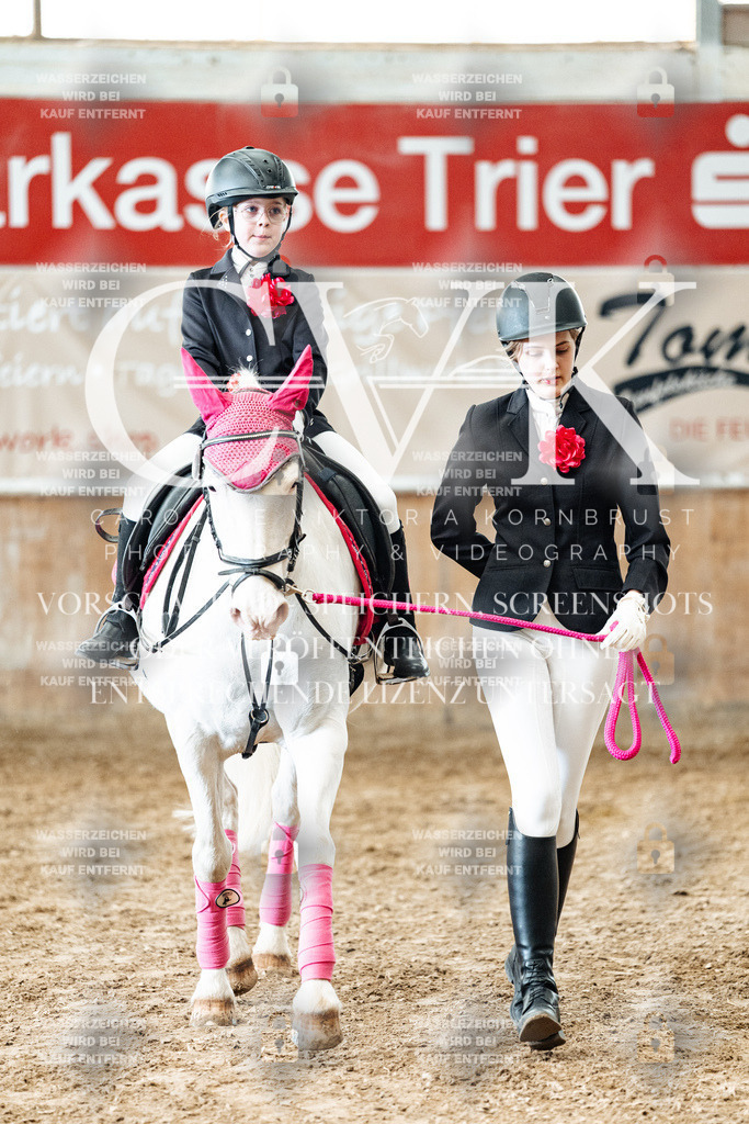 CK905963 | Turnierfotografie Pferdefotografie Trier Rheinland-Pfalz Pferdesport Reitsport Tierfotografie Sportfotografie Pferdevideo Pferdevideografie Equestrianvideography equestrianphotography  - Realisiert mit Pictrs.com