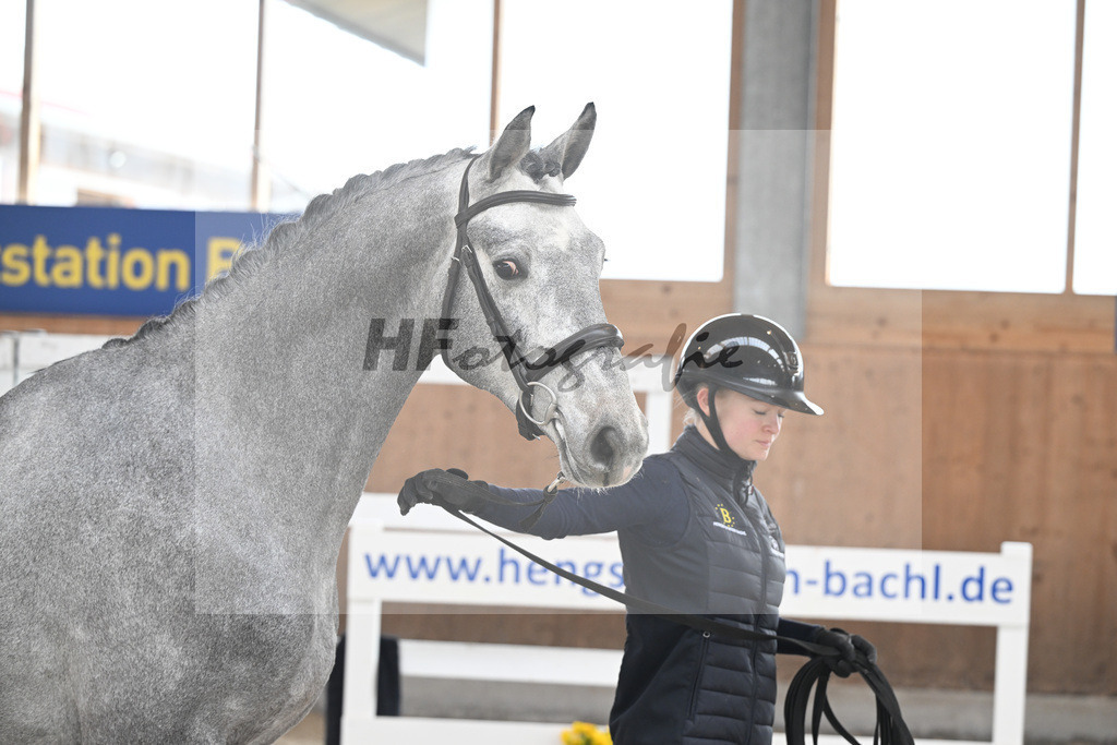 Kat-Nr. 71 HTCBs Casalgino Ve v. Vingino_Barlaup_14260388 | hf-fotografie - Realizzato con Pictrs.com