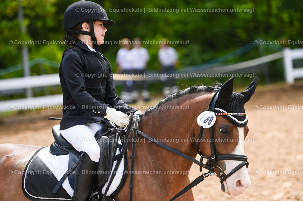 20230716_10-3_Reiter-WB Schritt - Trab - Galopp_0140 | equistock