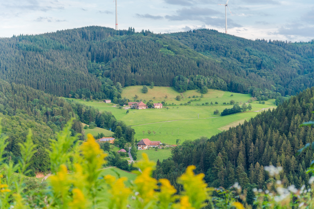 Ausblick Oberbüchern | <div id="allefotografen-seal-verified-green"></div><script src="https://www.allefotografen.de/956728/seal-verified-green/seal.js" async="async"></script> - Realisiert mit Pictrs.com
