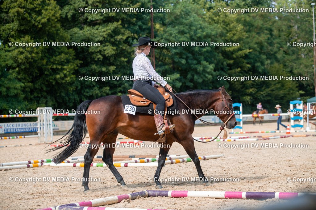 EWP_6823 | dv-media-shop - Realisiert mit Pictrs.com