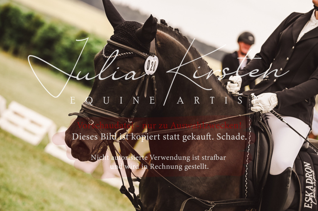 DSC_5122 | Pferde- und Turnierfotografie in Westsachsen. Pferdeportraits, Auftragszeichnungen und intuitive Kunst.