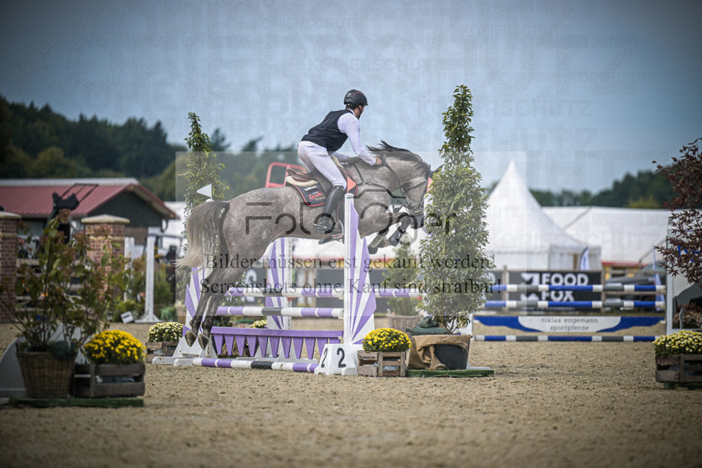 DOS_4466 | Entdecke hochwertige Reitturnierfotos von Foto Oger. Professionell, emotional und authentisch – jetzt Lieblingsmomente im Shop bestellen.Deutschlandweite Turnierfotografie. - Realisiert mit Pictrs.com