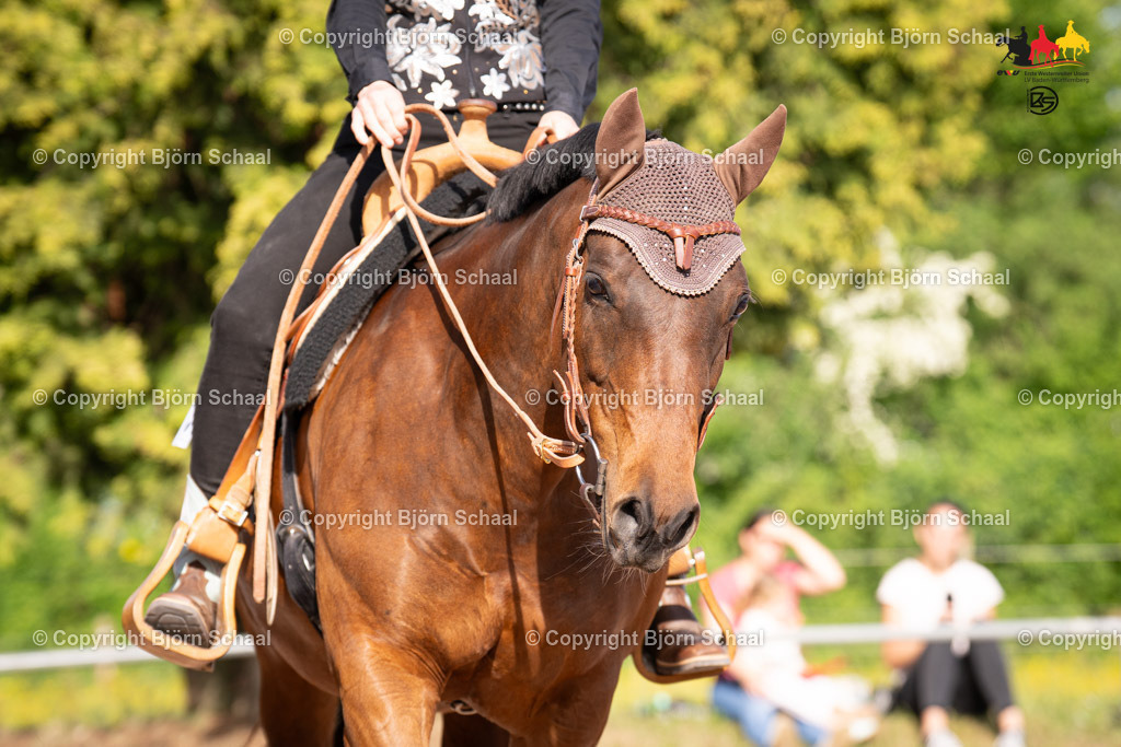 LMB08741 | BS-foto
