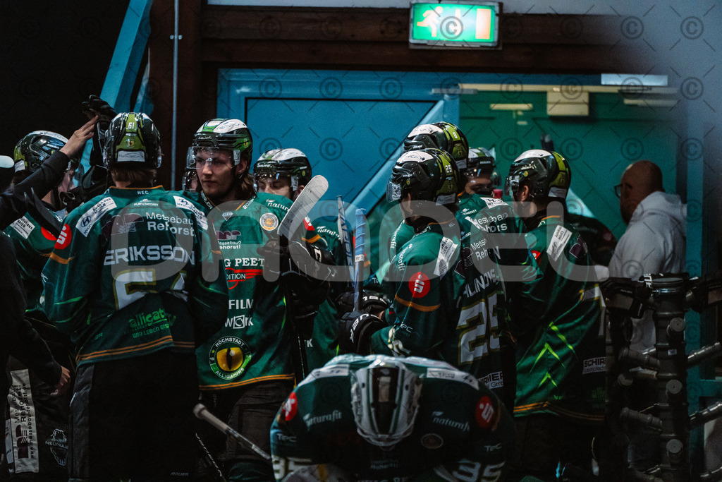 Alligators_vs_Erfurt_06_09_2026-03 | Die Fotogalerie von Daddel: professionelle Bilder von Sport, Events und Unternehmen aus Franken. Jetzt Galerien durchstöbern und Lieblingsfotos bestellen. - Realisiert mit Pictrs.com