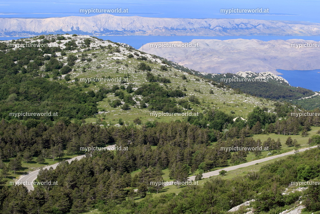 Karlobag-002 | Das Bilderarchiv über Tiere, Planzen und Landschaften. In der Bilddatenbank finden Sie ein große Auswahl an hochwertigen Bilder für Ihre Werbung - Realisiert mit Pictrs.com