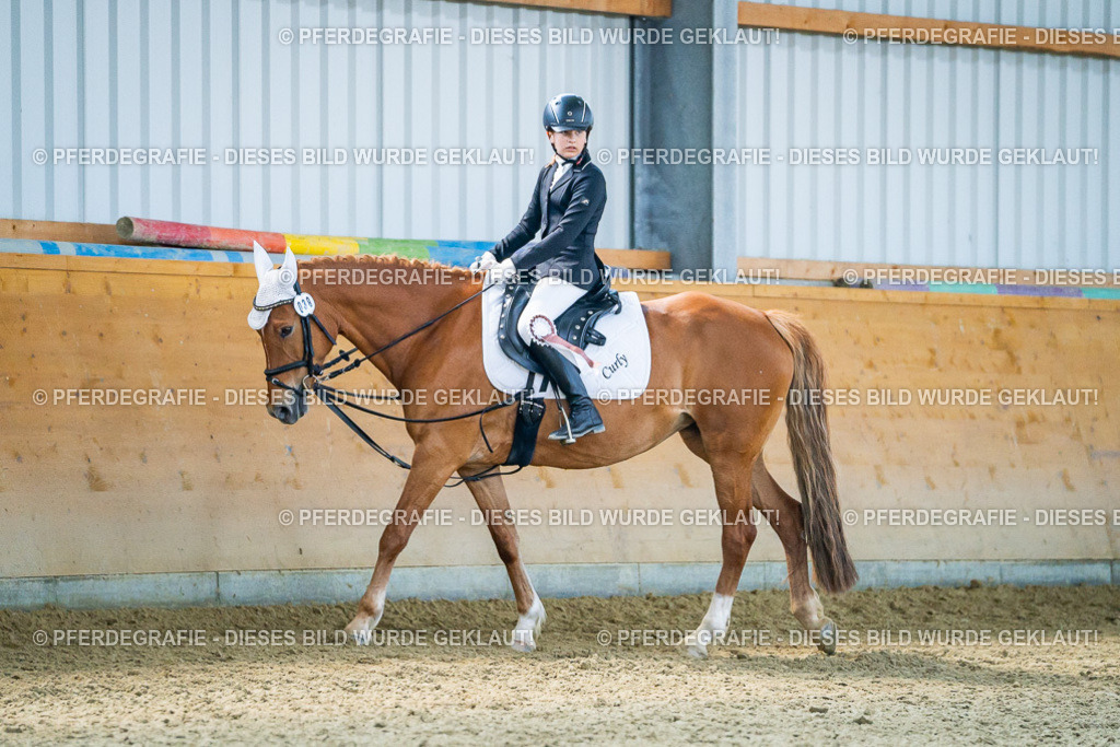 DSC03123 | Pferdegrafie