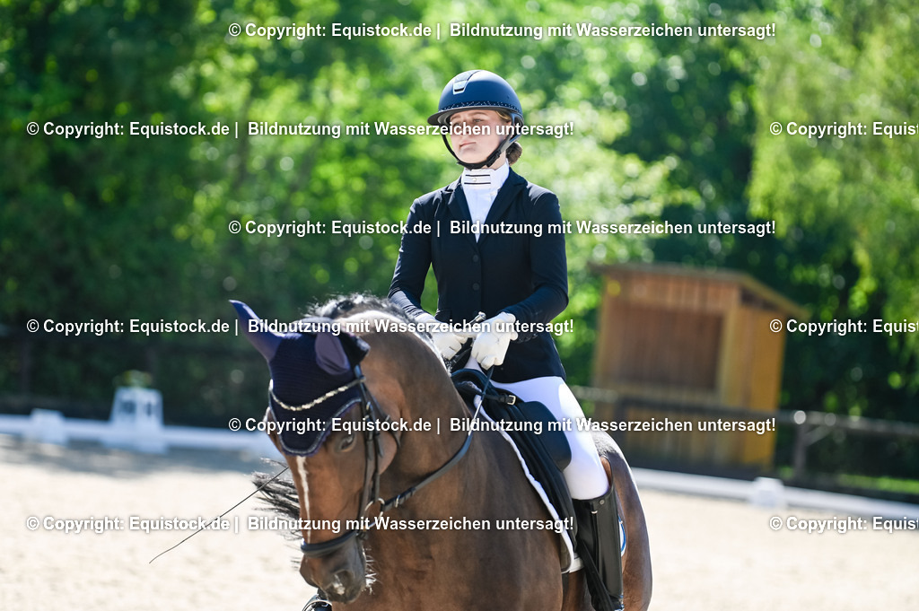 20230908_06_Dressur-L-Trense_0425 | equistock