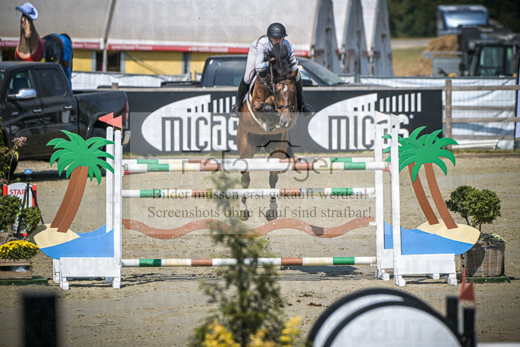 DOS_0695 | Entdecke hochwertige Reitturnierfotos von Foto Oger. Professionell, emotional und authentisch – jetzt Lieblingsmomente im Shop bestellen.Deutschlandweite Turnierfotografie. - Realisiert mit Pictrs.com