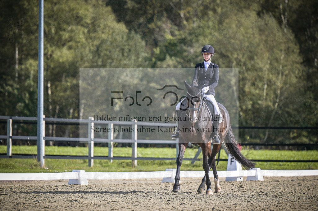 DOS_1835 | Entdecke hochwertige Reitturnierfotos von Foto Oger. Professionell, emotional und authentisch – jetzt Lieblingsmomente im Shop bestellen.Deutschlandweite Turnierfotografie. - Realisiert mit Pictrs.com