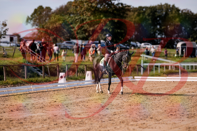 2026_10_03_Siefer-Hof_121533_Z81_17013842 | Professionelle Reitsport-, Turnier- und Eventfotografie von Robert Broda. Galerien mit ausgewählten und bearbeiteten Bildern direkt online ansehen und bestellen.