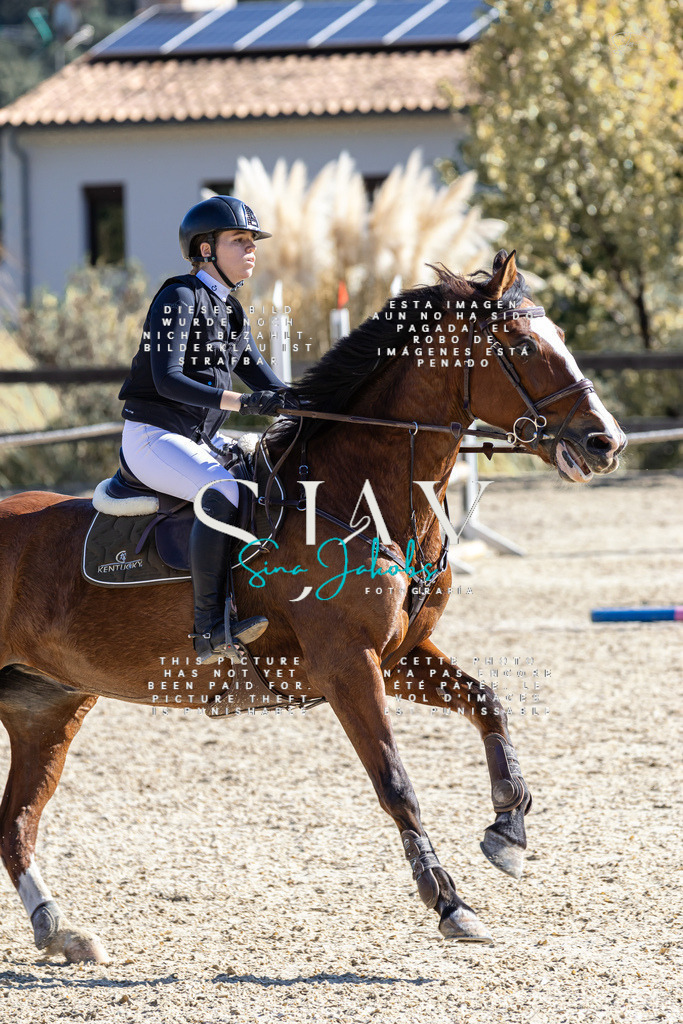 IMG_9894 (2) | s-jay-photography - Realisiert mit Pictrs.com