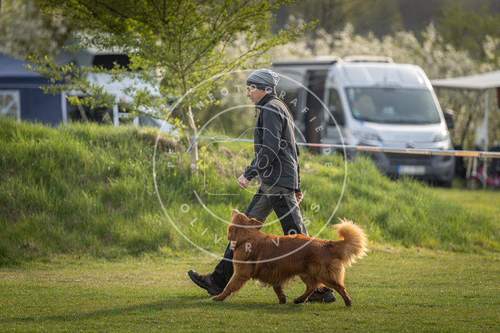 Pfotenfotografie_DV3A4763 | Hundefotografie, Tierfotograf, Pfotenfotografie, Fotoshooting Hund, Hunde Portrait, Hundesport, Hundeportraits, Heideshooting, Hunde, Sportfotograf, Hundefotograf, Turnierhundsport, THS,  - Realisiert mit Pictrs.com