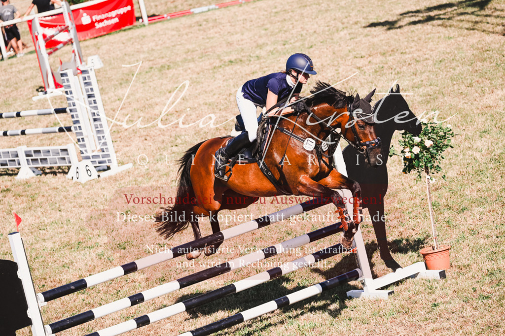 DSC_2121 | Pferde- und Turnierfotografie in Westsachsen. Pferdeportraits, Auftragszeichnungen und intuitive Kunst.