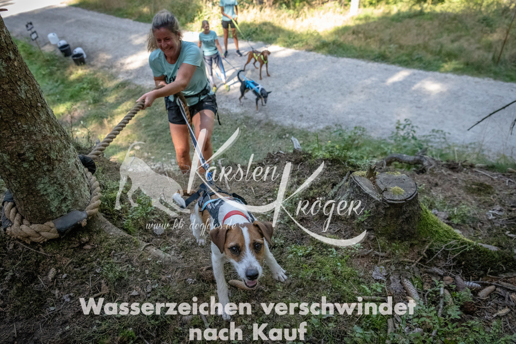 1205_ZZ93382 | kk-dogfotos