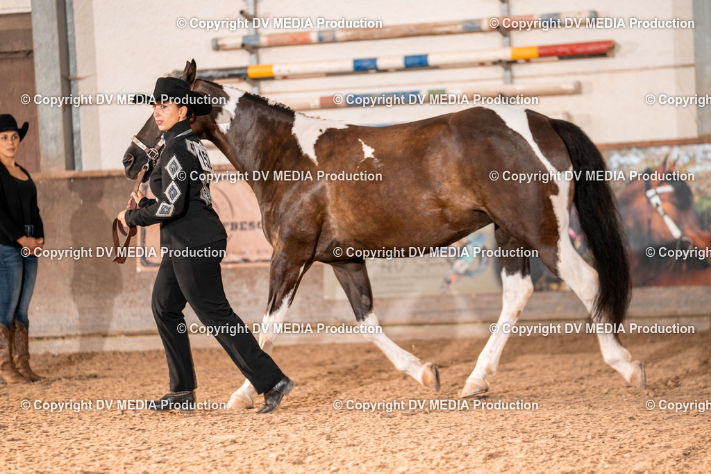 LM Heiligenwald Tag 1-21 | dv-media-shop - Realisiert mit Pictrs.com