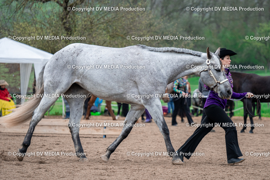 BA300085 | dv-media-shop - Realisiert mit Pictrs.com