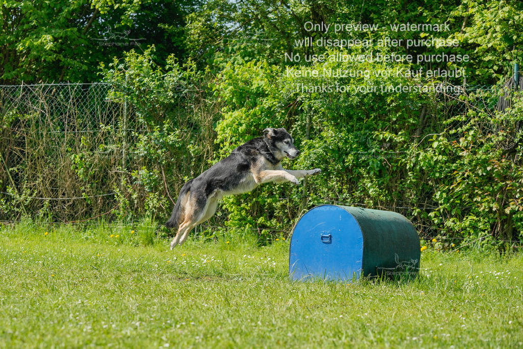 Sa_SprintVK_Gr2_03-41 | stephaniefillaphotographie - Realisiert mit Pictrs.com