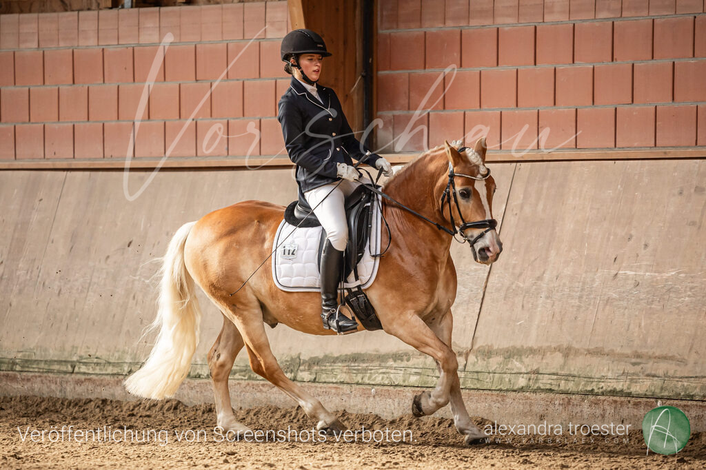 250405_Barop_07_347 | farbklaex.com