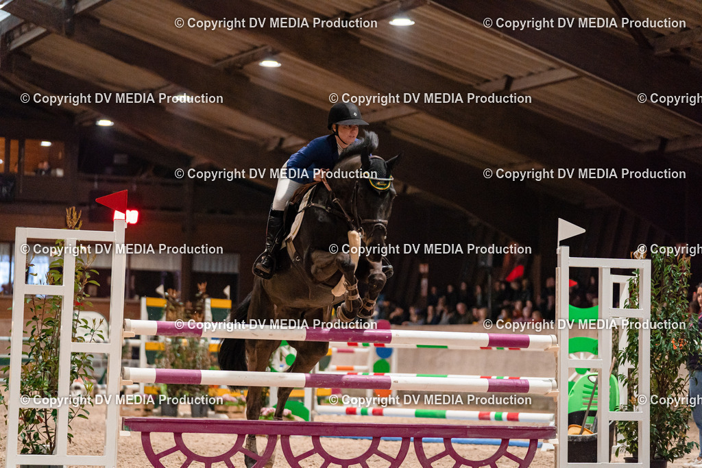 Springen Tag 2-840 | dv-media-shop - Realisiert mit Pictrs.com