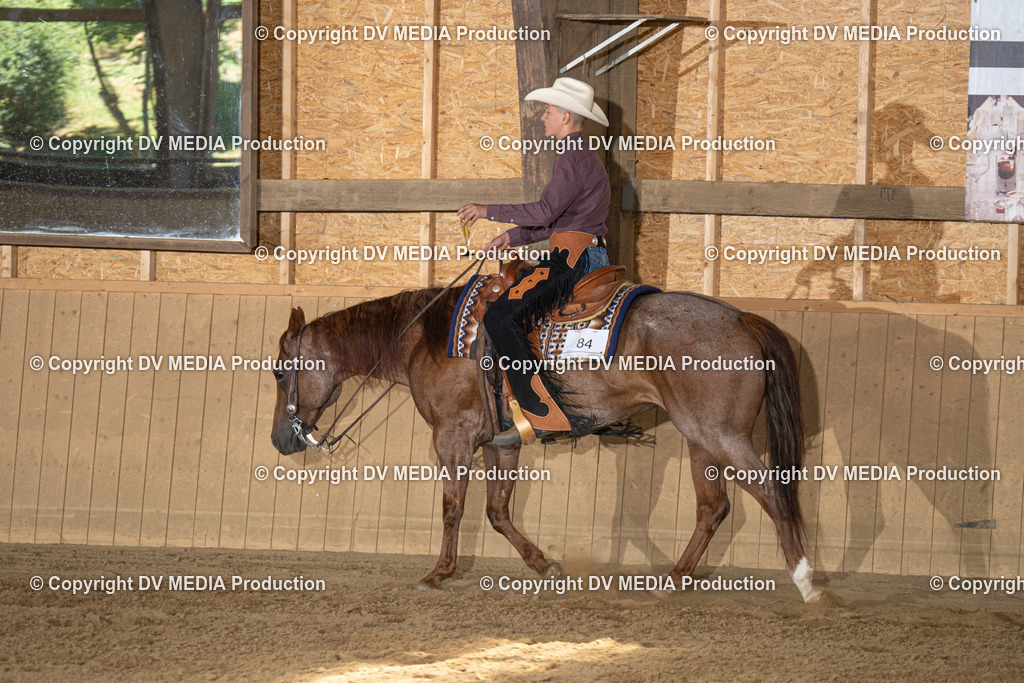 DSC00106 | dv-media-shop - Realisiert mit Pictrs.com