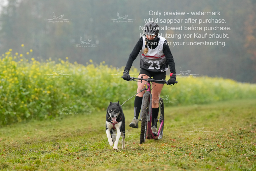 Visbeck_Sa_Scooter_Hc-84 | stephaniefillaphotographie - Realisiert mit Pictrs.com