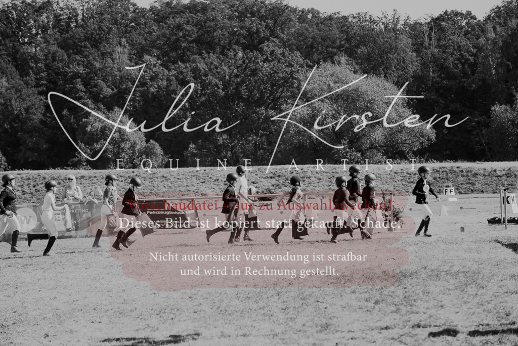 DSC_6378 | Pferde- und Turnierfotografie in Westsachsen. Pferdeportraits, Auftragszeichnungen und intuitive Kunst.
