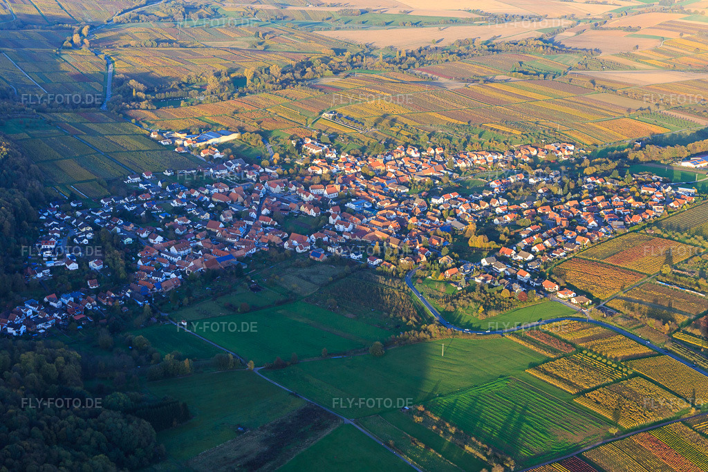 Luftbild: Winzerdorf aus Westen zwichen herbstlich gefärbten Weinbergen in Oberotterbach im Bundesland Rheinland-Pfalz in Deutschland. Foto: IMG_104441.jpg vom 31.10.2017 durch Werner Riehm/FLY-FOTO.de