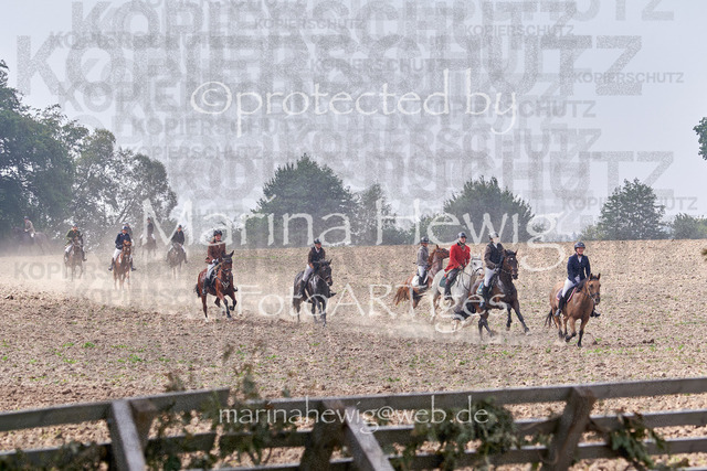 09-23 Jagd Perdöl_MCH9830_Marina Hewig | Fotografie, FotoArt, PferdesportArt, Pferdesportfotografie, Landschaftsfotografie, Reisefotografie, Reise, Pferde - Realisiert mit Pictrs.com