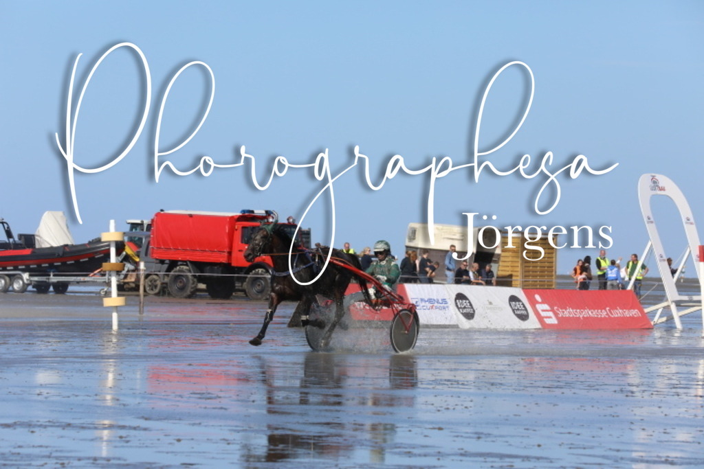 IMG_0340 | photographesa-joergens - Realisiert mit Pictrs.com