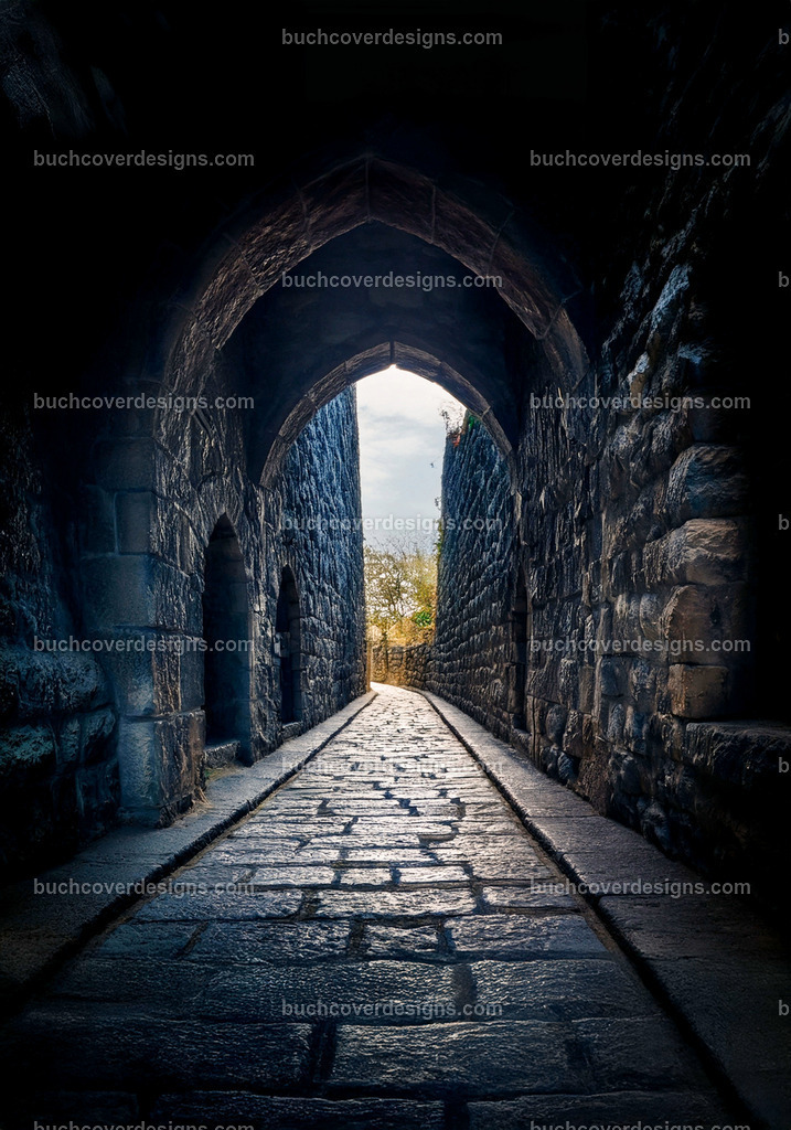 Stein Corridor altes gebäude (5) | Entdecken Sie kreative Buch Cover Designs für Self-Publishing-Autoren und Verlage! Unsere maßgeschneiderten Designs ziehen Leser an und bringen Ihre Geschichten visuell zum Leben. Lassen Sie uns Ihr perfektes Cover gestalten!