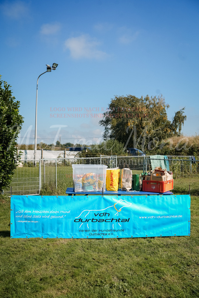 20250928_Hunderennen-721 | MuT (Mensch und Tier) mit Mona - Fotografie und Tierkommunikation - Realisiert mit Pictrs.com