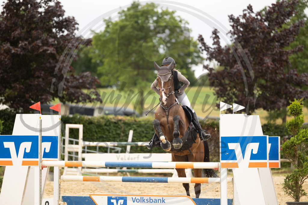 994A8996 | sabrinanicolaifotografie - Realisiert mit Pictrs.com